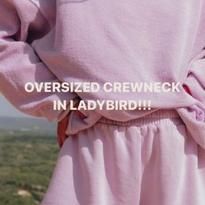 Daily Drills Ladybird (Lavender) Oversized Crewneck XS/S